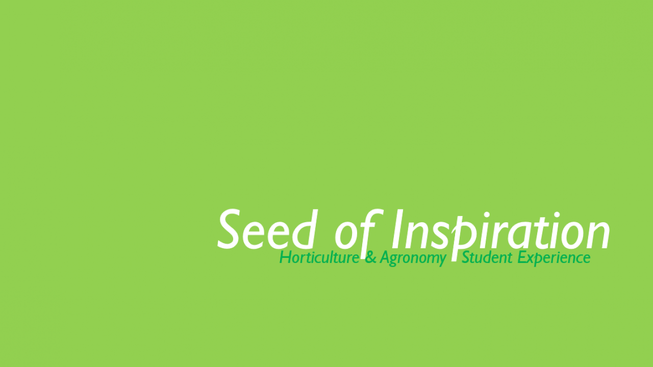 Seed Of Inspiration