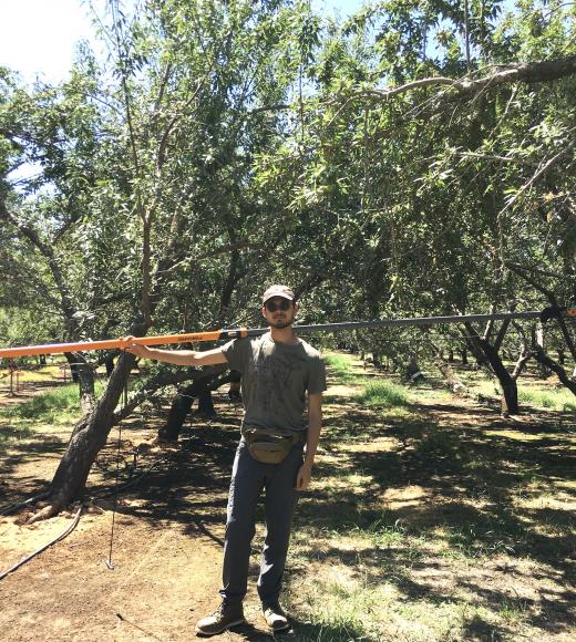 An image of a man standing in an almond orchard with an extendable pruning tool over his shoulder.