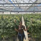 Image of a smiling woman standing in a greenhouse full of hemp plants