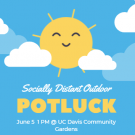 A flyer with a smiling sun for Socially Distant Outdoor Potluck - June 5